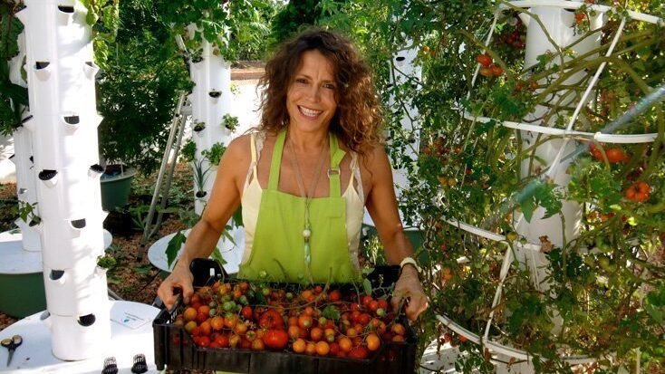 benefits of hydroponic towers Pictures of a bountiful harvest of fruits and vegetables grown in hydroponic towers