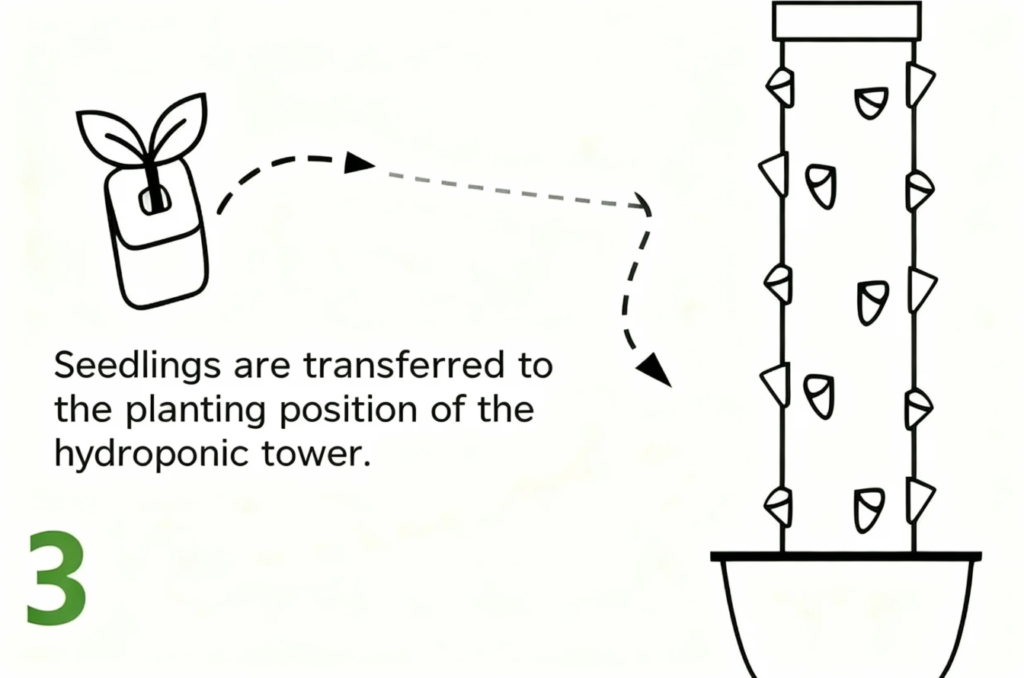 Seedlings placed into planting sites of a hydroponic tower