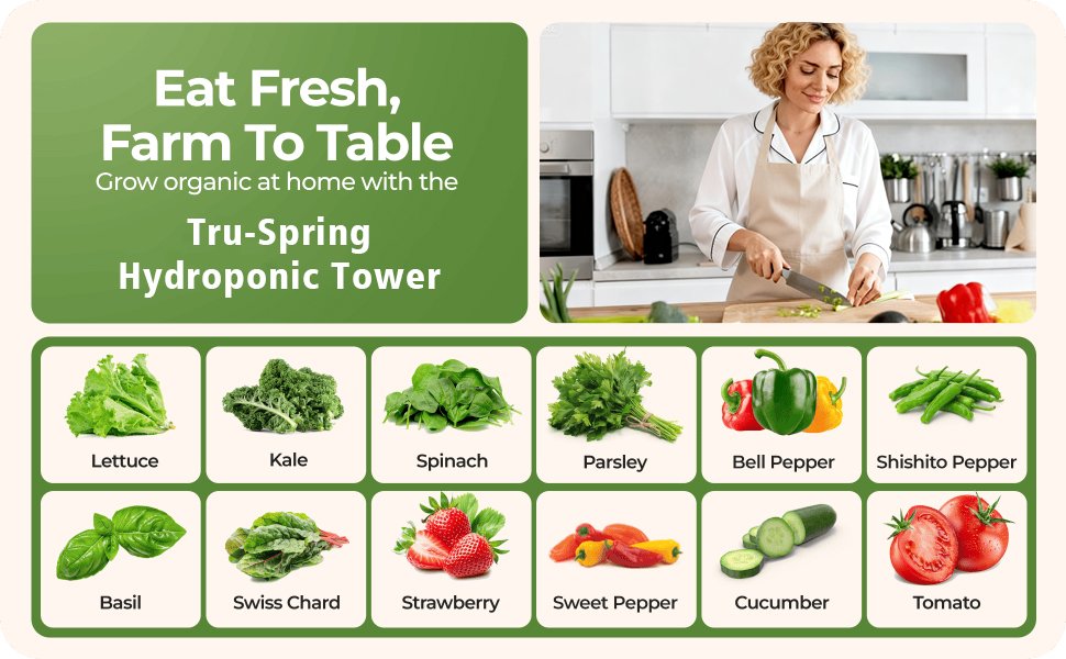 Promotional poster for Tru-Spring Hydroponic Tower, showcasing 12 types of vegetables, herbs, and fruits you can grow organically at home, from lettuce and spinach to tomatoes and strawberries