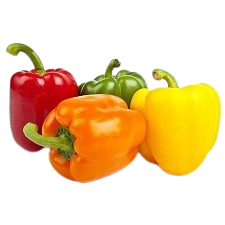 Colorful organic bell peppers (red, green, orange, yellow) grown in a vertical hydroponic tower system, ideal for commercial vertical farming and culinary use