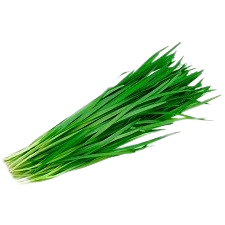 Organic Chinese chives grown in a vertical hydroponic tower system, ideal for commercial vertical farming and Asian culinary use