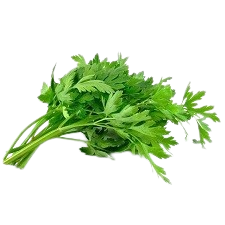 Fresh organic parsley grown in a hydroponic tower system, ideal for commercial vertical farming and culinary applications