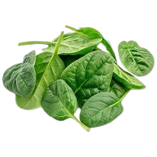 Organic spinach leaves grown in a vertical hydroponic tower system, ideal for commercial vertical farming and nutrient-dense produce supply