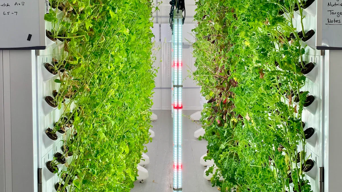 Commercial Hydroponic Tower Overview