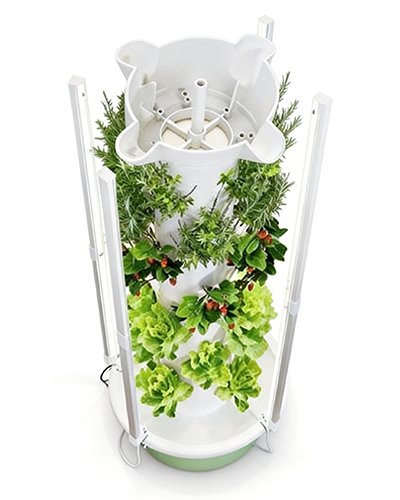 Indoor vertical hydroponic tower with integrated LED grow lights, growing lettuce, herbs, and cherry tomatoes, ideal for space-saving commercial indoor farming
